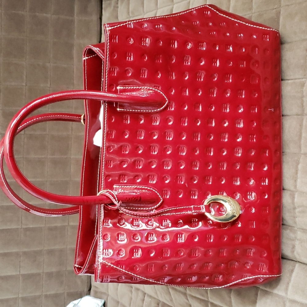 Arcadia purse